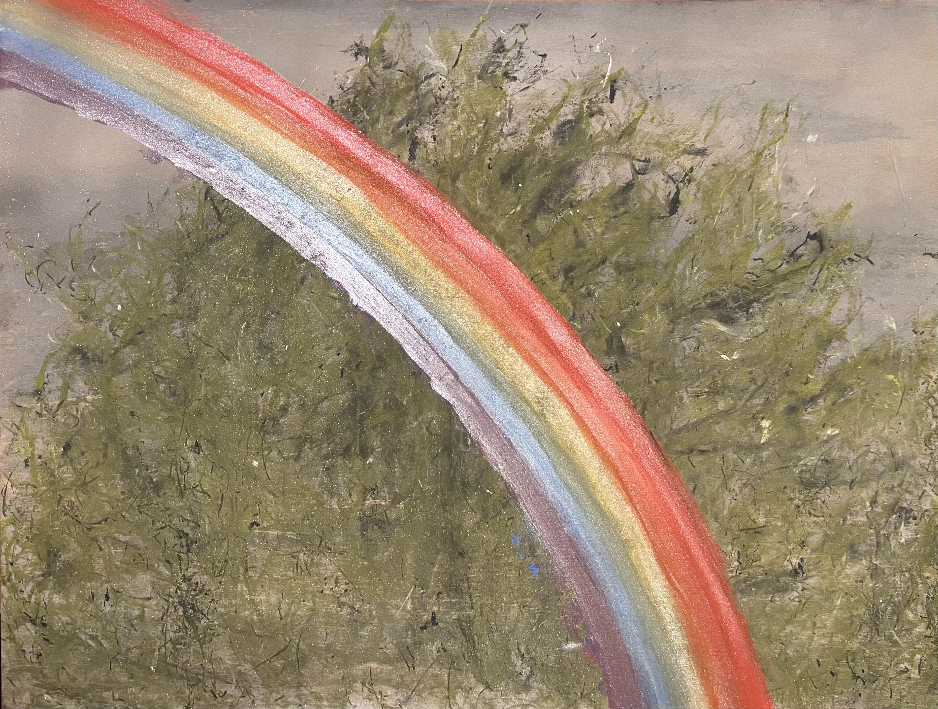 rainbow poppin' right in your face against a cypress tree and grey after-storm sky