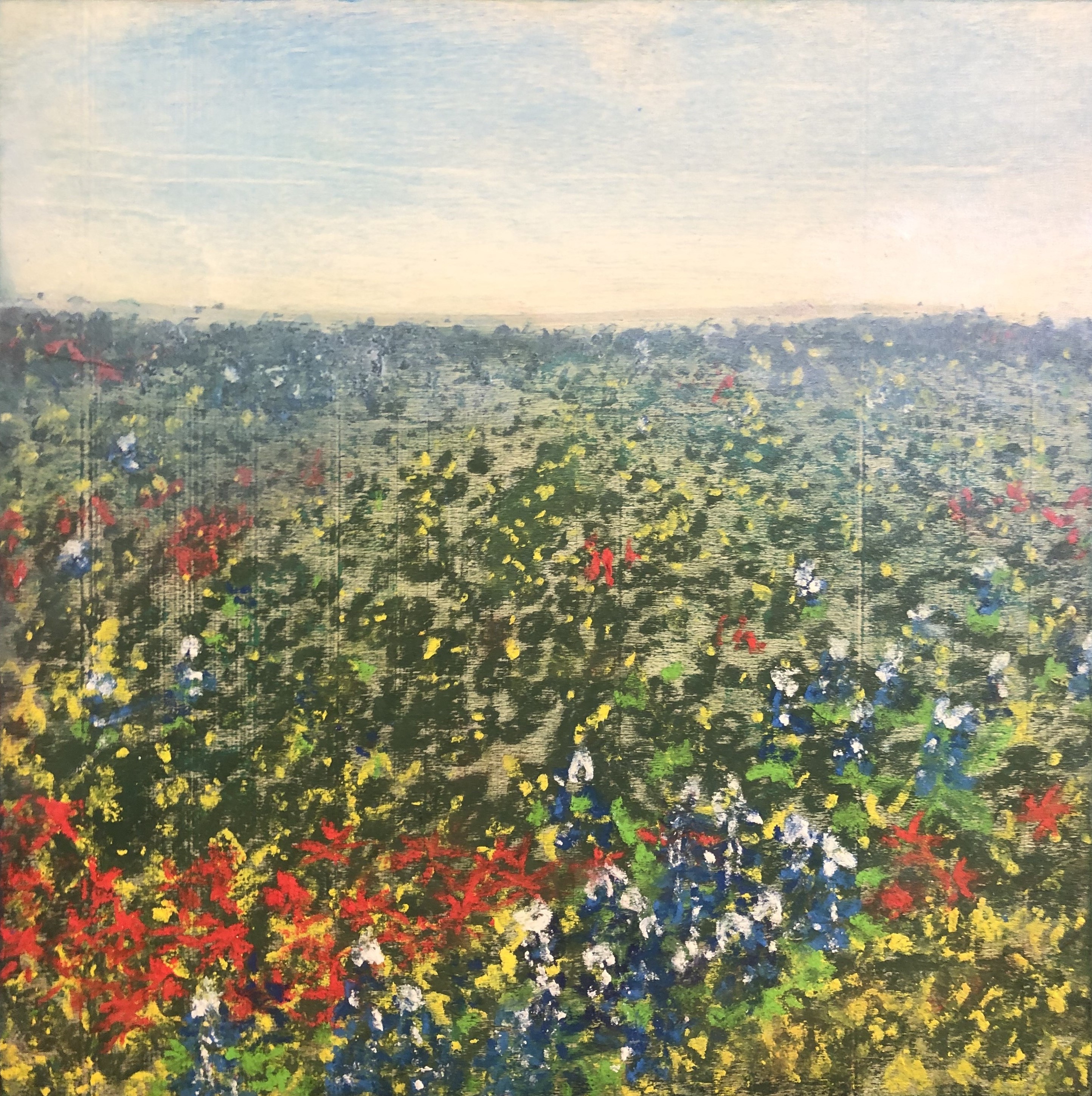 Landscape art of a field of Texas wildflowers