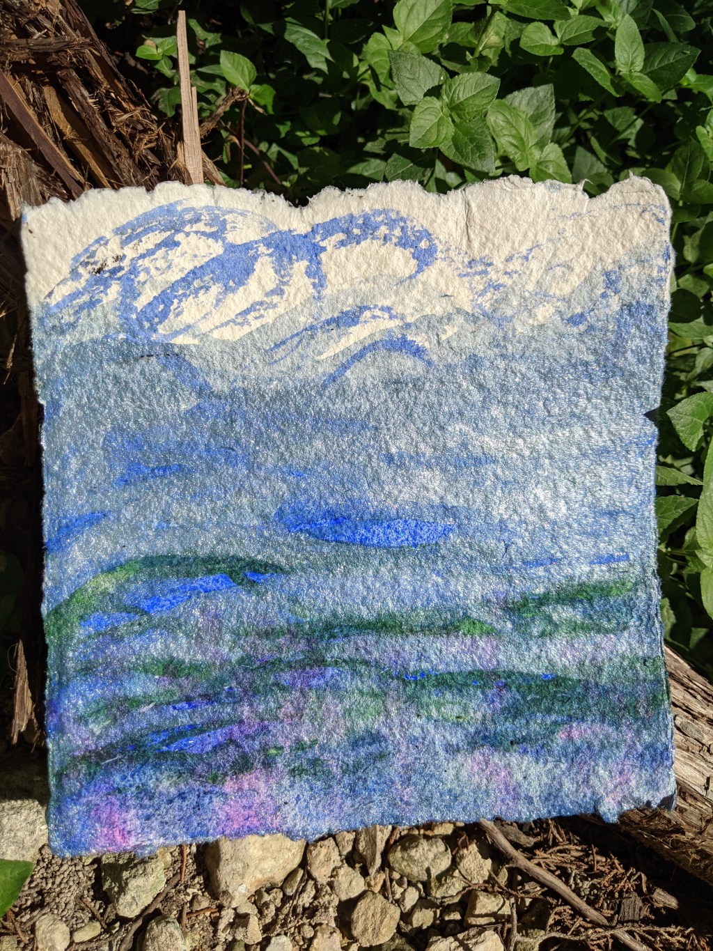 Photo shoot with River the Art&nbsp;Dog