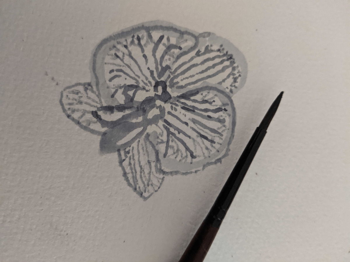 studies in indigo